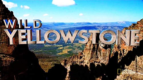 Wild.Yellowstone.S01.1080p.AMZN.WEB-DL.DD+5.1.x264-NTG – 7.6 GB