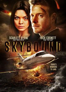 Skybound.2017.1080p.BluRay.REMUX.AVC.DD.5.1-EPSiLON – 6.8 GB
