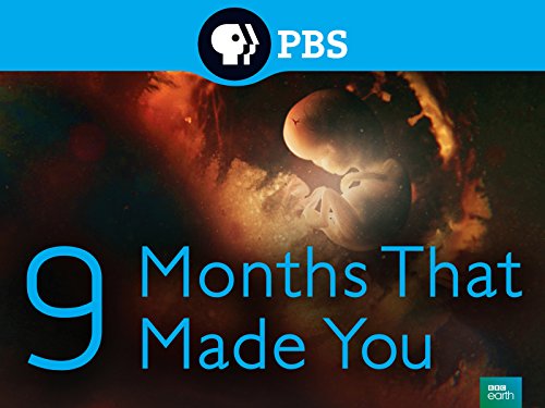 9.Months.That.Made.You.S01.1080p.NF.WEB-DL.DDP2.0.x264-KAIZEN – 8.5 GB