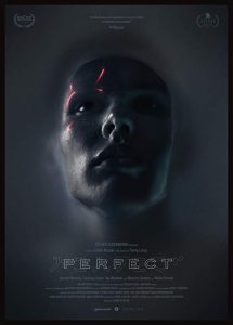 Perfect.2018.1080p.AMZN.WEB-DL.DDP5.1.H.264-NTG – 4.3 GB