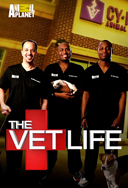 The.Vet.Life.S04.720p.WEBRip.x264-CAFFEiNE – 7.8 GB