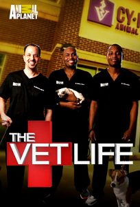 The.Vet.Life.S04.1080p.WEB.h264-TBS – 23.1 GB