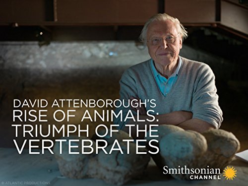 David.Attenboroughs.Rise.Of.Animals.S01.1080p.BluRay.x264-SHORTBREHD – 7.9 GB