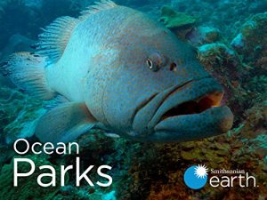 Ocean.Parks.S01.1080p.AMZN.WEB-DL.DDP2.0.H.264-RCVR – 19.9 GB