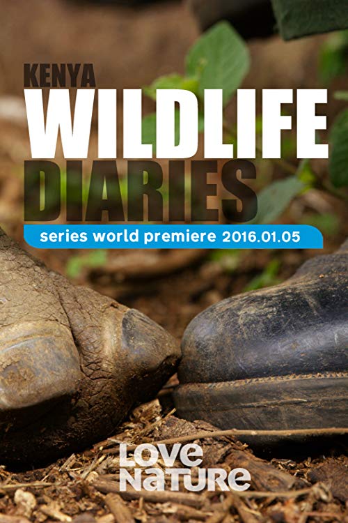 Kenya.Wildlife.Diaries.S01.720p.AMZN.WEB-DL.DDP2.0.x264-RCVR – 9.4 GB