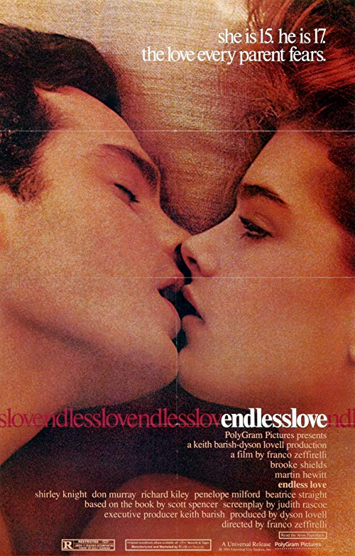 Endless.Love.1981.1080p.BluRay.x264-PSYCHD – 12.0 GB