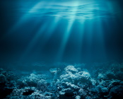 Deep.Ocean.S01.720p.WEB-DL.AAC2.0.x264-TViLLAGE – 2.8 GB