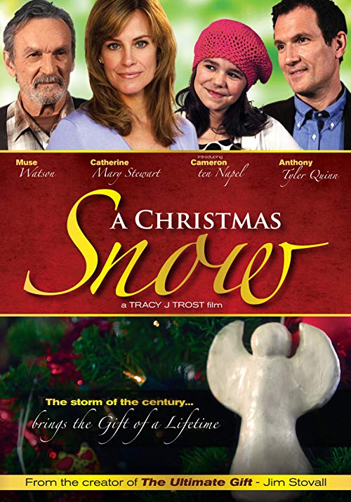 A.Christmas.Snow.2010.1080p.BluRay.x264-VETO – 7.7 GB
