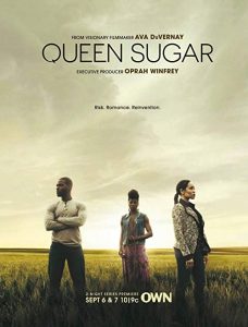 Queen.Sugar.S04.720p.AMZN.WEB-DL.DDP5.1.H.264-NTb – 22.3 GB