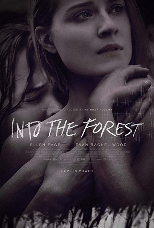 Into.the.Forest.2015.PROPER.720p.BluRay.DD5.1.x264-IDE – 6.4 GB