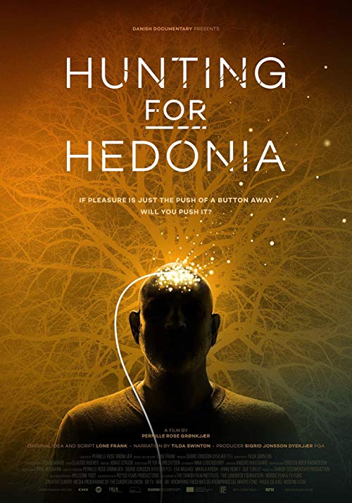 Hunting.for.Hedonia.2019.1080p.AMZN.WEB-DL.DD+2.0.H.264-iKA – 5.4 GB
