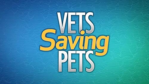 Vets.Saving.Pets.S01.1080p.WEB-DL.AAC2.0.x264-SCENE – 20.6 GB