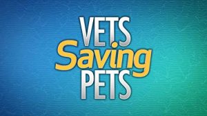 Vets.Saving.Pets.S01.720p.WEB-DL.AAC2.0.x264-SCENE – 13.1 GB