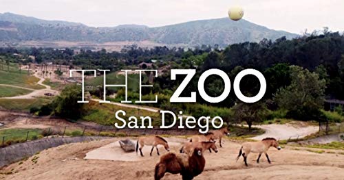 The.Zoo-San.Diego.S01.720p.WEBRip.AAC2.0.x264-CAFFEiNE – 11.4 GB