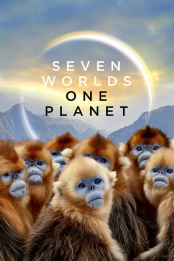 Seven.Worlds.One.Planet.S01E05.Europe.720p.AMZN.WEB-DL.DDP5.1.H.264-NTb – 2.3 GB
