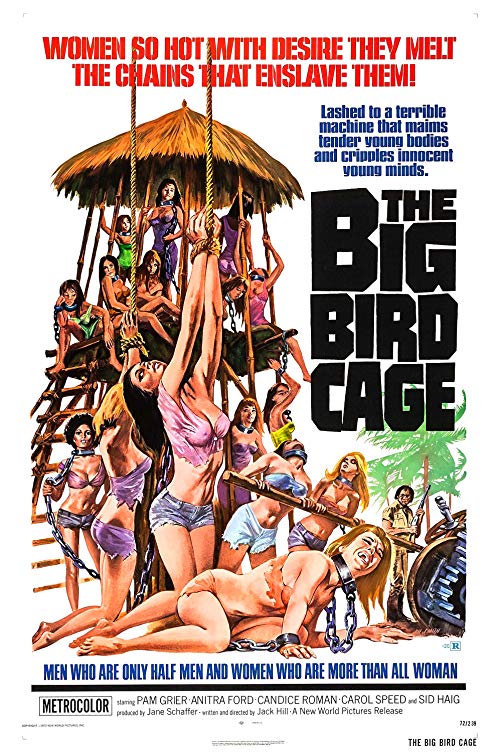 The.Big.Bird.Cage.1972.1080p.Blu-ray.Remux.AVC.DTS-HD.MA.2.0-KRaLiMaRKo – 21.4 GB