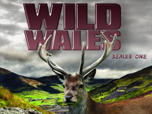 Wild.Wales.S01.720p.iP.WEB-DL.AAC2.0.H.264-L00NATiC – 6.2 GB