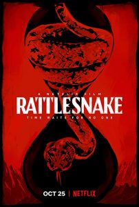 Rattlesnake.2019.HDR.2160p.WEBRip.x265-iNTENSO – 8.5 GB