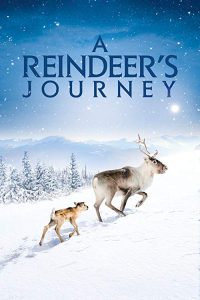 A.Reindeers.Journey.2019.720p.WEB-DL.X264.AC3-EVO – 2.1 GB