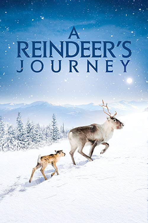 A.Reindeers.Journey.2019.1080p.WEB-DL.H264.AC3-EVO – 2.9 GB