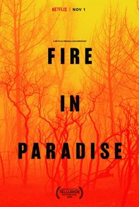 Fire.in.Paradise.2019.720p.NF.WEB-DL.DDP5.1.x264-NTG – 1.3 GB