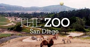 The.Zoo.San.Diego.S01.1080p.AMZN.WEB-DL.DDP2.0.H.264-NTG – 25.9 GB