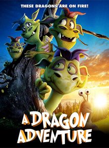 A.Dragon.Adventure.2019.1080p.WEB-DL.H264.AC3-EVO – 2.6 GB