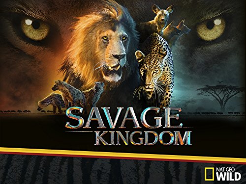 Savage.Kingdom.S03.1080p.AMZN.WEB-DL.DDP5.1.H.264-AJP69 – 18.7 GB