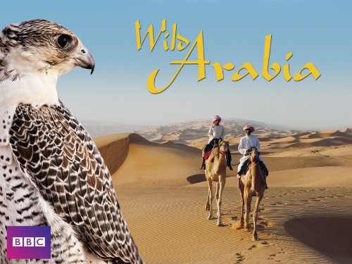 Wild.Arabia.S01.UNCUT.1080p.AMZN.WEB-DL.DD+2.0.x264-Cinefeel – 10.1 GB