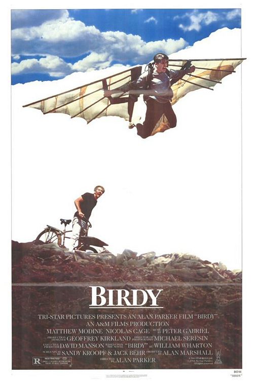 Birdy.1984.INTERNAL.1080p.BluRay.X264-AMIABLE – 18.1 GB