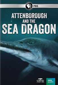 Attenborough.and.The.Sea.Dragon.2018.1080p.AMZN.WEB-DL.DDP2.0.H.264-NTb – 3.5 GB