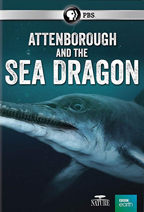 Attenborough.and.The.Sea.Dragon.2018.1080p.AMZN.WEB-DL.DDP2.0.H.264-NTb – 3.5 GB