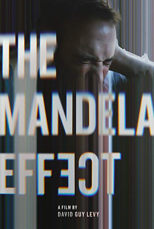 The.Mandela.Effect.2019.1080p.AMZN.WEB-DL.DDP5.1.H.264-NTG – 5.2 GB