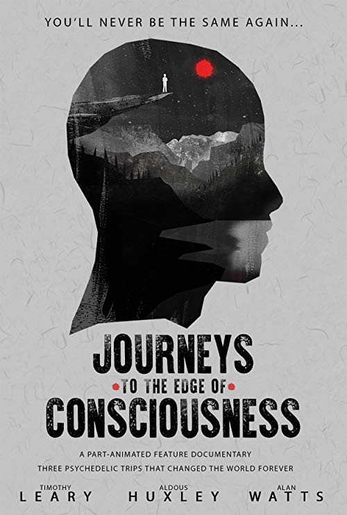 Journeys to the Edge of Consciousness