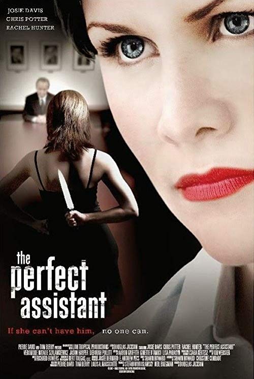 The.Perfect.Assistant.2008.1080p.AMZN.WEB-DL.DDP2.0.x264-ABM – 8.6 GB