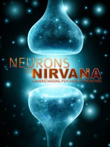 Neurons.to.Nirvana.Understanding.Psychedelic.Medicines.2013.1080p.AMZN.WEB-DL.DDP2.0.H.264-TEPES – 4.8 GB