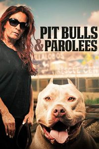 Pit.Bulls.and.Parolees.S14.720p.WEB-DL.AAC2.0.x264-CAFFEiNE – 8.4 GB