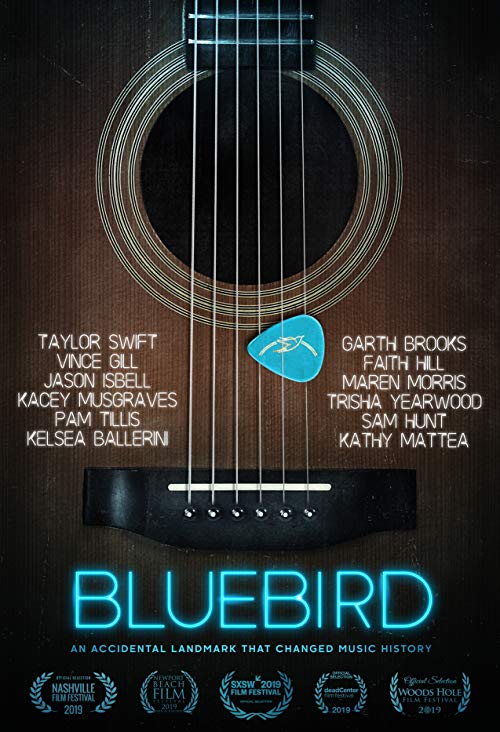 Bluebird.2019.720p.BluRay.x264-CADAVER – 3.3 GB