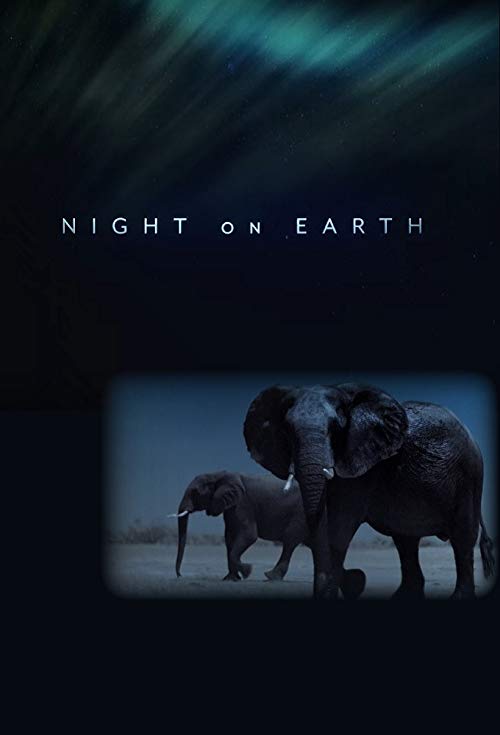 Night.on.Earth.S01.1080p.NF.WEB-DL.DDP5.1.HDR.HEVC-NTG – 10.9 GB
