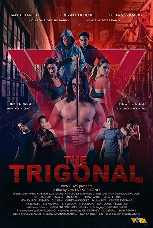 The.Trigonal.Fight.for.Justice.2018.720p.AMZN.WEB-DL.DDP5.1.H.264-NTG – 2.0 GB