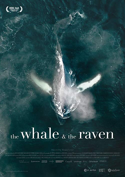 The.Whale.and.the.Raven.2019.720p.AMZN.WEB-DL.DDP5.1.H.264-TEPES – 3.7 GB