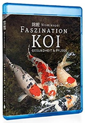 Nishikigoi.Fascination.Koi.Health.And.Care.2017.DUBBED.720p.BluRay.x264-PussyFoot – 2.2 GB