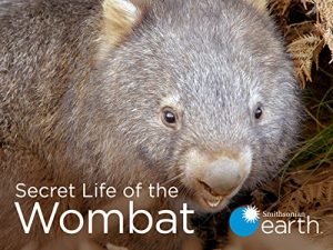 Secret.Life.of.the.Wombat.S01.1080p.AMZN.WEB-DL.DDP2.0.H.264-KAIZEN – 6.6 GB