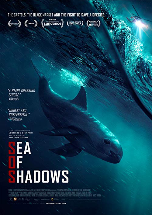 Sea.of.Shadows.2019.1080p.HULU.WEB-DL.DDP5.1.H.264-FC – 3.8 GB