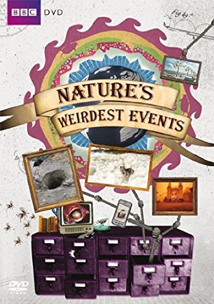 Nature’s.Weirdest.Events.S02.1080p.NF.WEB-DL.DDP2.0.x264-KAIZEN – 7.9 GB