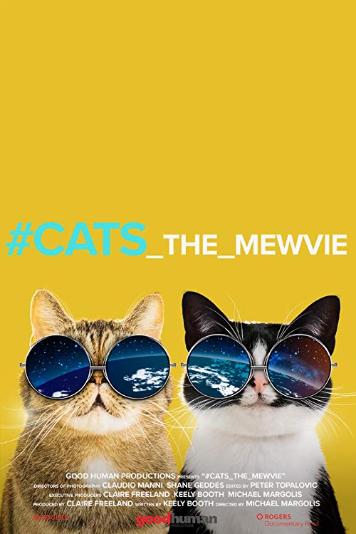#cats.the.mewvie.2020.1080p.NF.WEB-DL.DDP2.0.x264-WELP – 3.1 GB