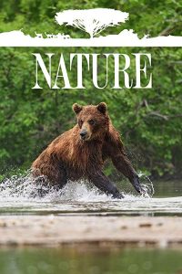 Nature.S37.720p.PBS.WEB-DL.AAC2.0.H.264-astro – 17.4 GB