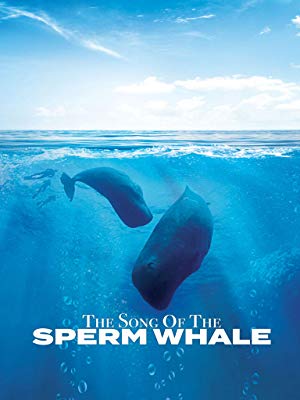 Song.of.the.Sperm.Whale.2017.2160p.WEB-DL.AAC2.0.H.264-BLUTONiUM – 5.6 GB