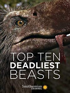 Top.Ten.Deadliest.Beasts.2018.1080p.AMZN.WEB-DL.DDP5.1.H.264-NTb – 5.8 GB