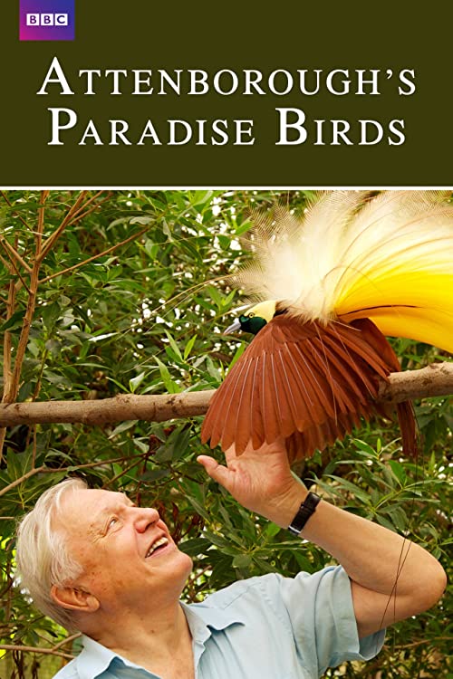 Attenborough’s.Paradise.Birds.2015.1080p.AMZN.WEB-DL.DD+2.0.x264-Cinefeel – 4.6 GB